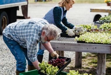 Ergonomic Gardening
