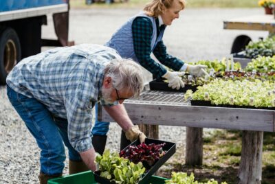 Ergonomic Gardening