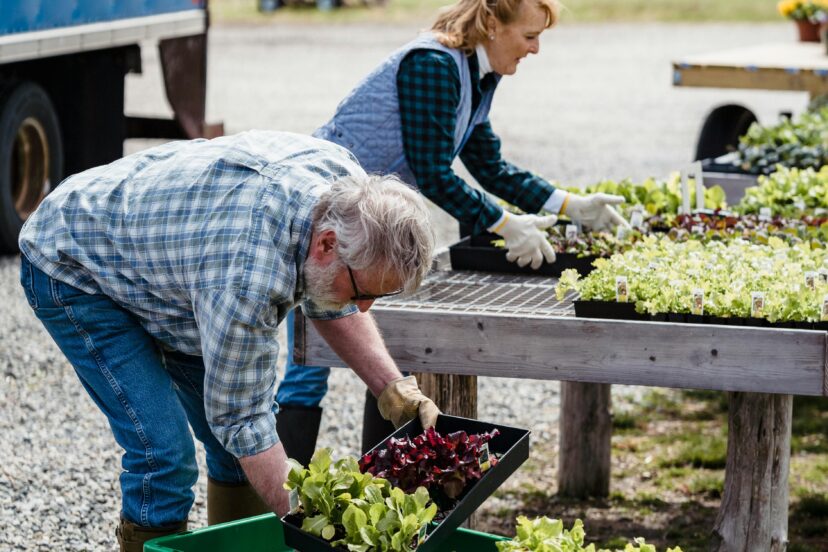 Ergonomic Gardening